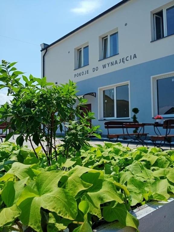 Апарт отель Pod Kogucikiem Krzyzanowice Экстерьер фото